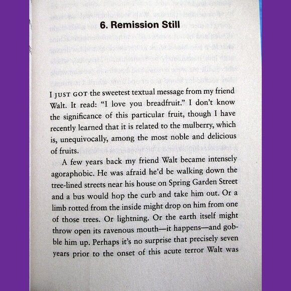 Book: The Book of Delights, Essays by Ross Gay - Picture 11 of 14
